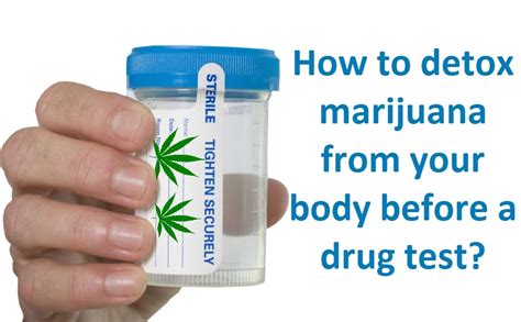 thc dropped in drug test|thc detox calculator drug test.